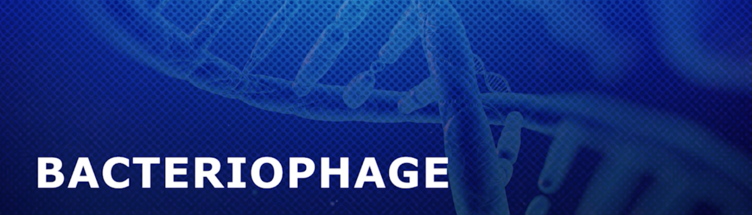 Video Screenshot Bacteriophage
