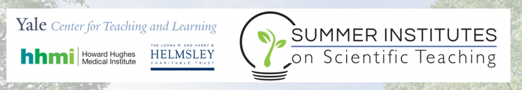 Summer Institute with Sponsors Summer Institute Logo with Sponsors